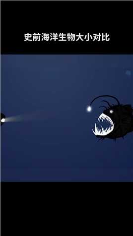  史前海洋生物大小对比~