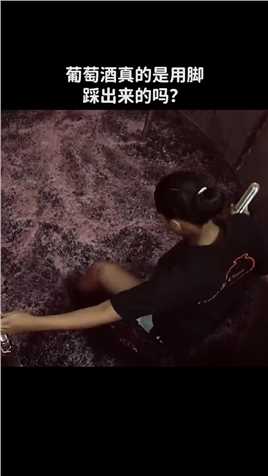  葡萄酒真的是用脚踩出来的吗？ 