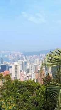 《俯瞰》 #香港太平山 海拔554米，系香港的最高点，登顶可俯瞰整个香岛。