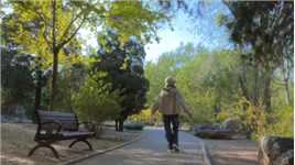 《悠闲》 人生本无意义，我们所有的努力，就是让自己尽早闲下来。😊

#公园散步随拍 