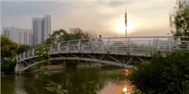 《晓月》 南翠屏公园里有四座桥，分别是：晓月桥、畅观桥、翠屏桥和碧荷桥。#随手拍