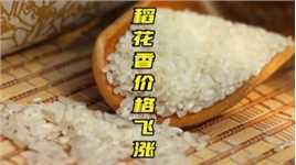 23年新米上市，小胡亲自去米厂监工，今年稻花香价格涨的太高了