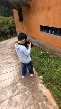 熟练操作相机的小摄影师 随拍路边的小花 🌸📷[太阳]