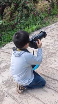 用长焦相机拍远山和李子树的小摄影师 🏞️📷🍒