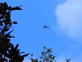 抓拍:飞越昆明月牙潭公园上空的直升飞机 🚁📷[太阳]