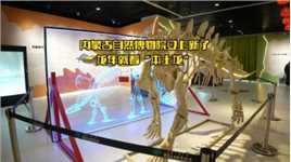 内蒙古自然博物馆又上新了，龙年就看“本土龙”