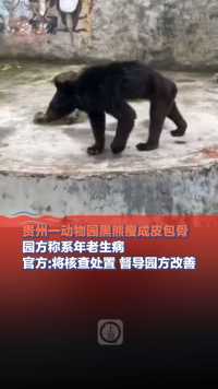 6月11日，#贵州一动物园黑熊瘦成皮包骨，园方称系年老生病，官方回应:将核查处置 督导园方改善