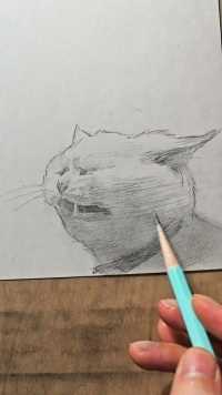 猫#画画