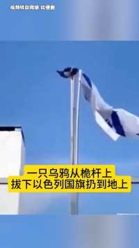 一只乌鸦从高杆上拔下以色列国旗扔到地上。