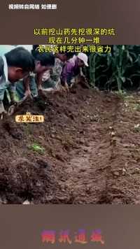 以前挖山药先挖很深的坑，现在几分钟一堆，农民这样兜出来很省力