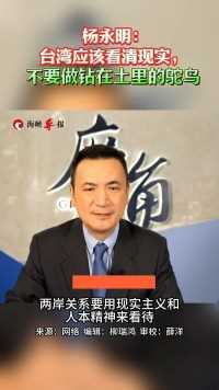杨永明：台湾应该看清现实，不要做钻在土里的鸵鸟