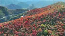 给大家分享一条南太行山看红叶一日游环线。一路红叶美的你全程无尿点，恨不是马王爷三只眼。