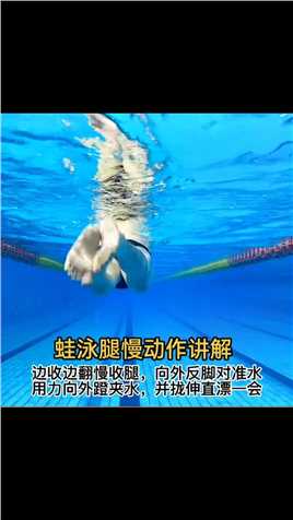 蛙泳腿慢动作讲解，很多人都说自己不走水，看看自己的蛙泳腿动作是否正确。#学游泳