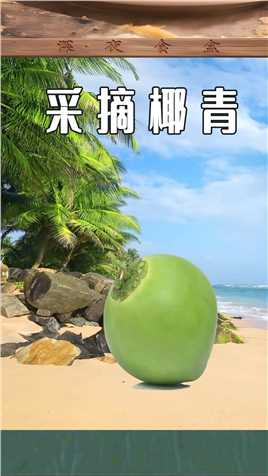 十几米高掉下来的椰子怎么不会摔坏？神人发明三步喝上椰子水法#热带水果 #制作过程 #椰青 