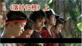 赵本山演技巅峰，14年来最好的公路电影。
