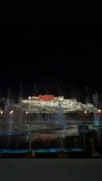 布达拉宫广场夜景，喷泉#视觉震撼 #想去的地方总有一天会抵达 #网红景点打卡 #义乌同城