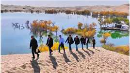 胡杨，沙漠，湖水波光粼粼，观看最美胡杨林的季节又到咯！走吧，一起去新疆。#大漠胡杨林美景