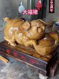 这个大胖猪真可爱 #根雕 #茶桌茶台 #金丝楠木 #木雕 #摆件
