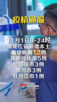 黑龙江省最新疫情通报(11月1日0-24时)