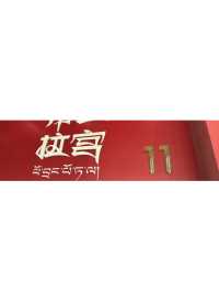 2024.4.26 扬州大运河博物馆布达拉宫展 假装在拉萨