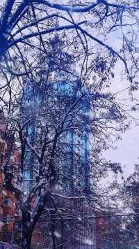 #新的一月新的开始#大连的第一场雪#天冷了愿所有人有衣暖身有人暖心