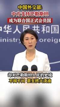 中国外交部：中方支持巴勒斯坦成为联合国正式会员国 