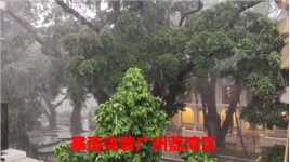 今天上午10：30，一场暴雨突袭广州荔湾区，一时间狂风大作，暴雨倾盆，远处景物模糊了。暴雨持续了40分钟左右。