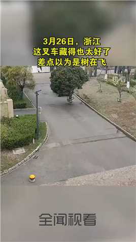 3月26日，浙江。这叉车藏得也太好了，差点以为是树在飞。