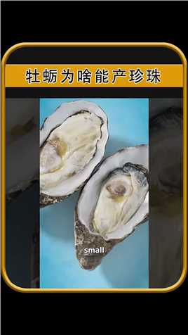 为什么牡蛎能产生珍珠