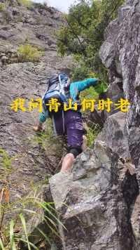 我问青山何时老