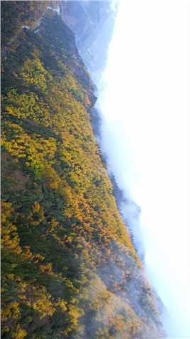 希望这个秋天的风不燥，岁月静好，愿一切美好都如期而至。#仙米森林公园 #治愈系风景