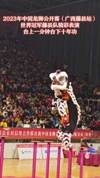 中国非遗文化龙狮
世界冠军-广西#藤县龙狮