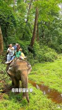 左晃晃右晃晃，前晃晃后晃晃。
骑大象丛林穿越尼泊尔奇特旺国家森林公园，镜头记录一下遇到的野生动物：鳄鱼、梅花鹿、孔雀、独角犀。
#游走尼泊尔@骑大象丛林穿越#