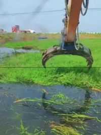 挖机抓草#现代农业机械#挖机视频大全
