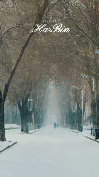 飘雪的校园，有没有一种秘境感……来哈尔滨看雪吧……