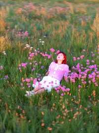 如果你想去有风有花有草有治愈的地方，那你就来锡林郭勒大草原吧……