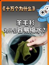  在家洗 缩水变硬？来看看羊毛衫正确的洗涤方法！