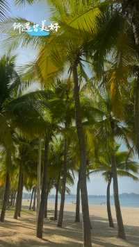🌴🌴🌴三亚椰林，蔚蓝的海水与和煦的海风让人心情愉悦。❤️❤️❤️