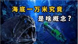 深海生物神似外星物种，有水就会有生命？为啥探索太空比海洋多？