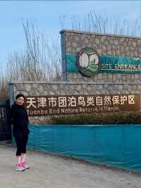 天津市团泊鸟类自然保护区骑行
团泊湖相当于11个西湖、7个东丽湖、5个天嘉湖，被誉为天津之肺。55种野生植物茂密其中，164种珍惜鸟类（天鹅、鸳鸯、白鹭、红鹬、柳莺）世代繁衍生息。环湖路线约34公里