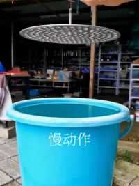 #慢镜头 #慢动作 #手机摄影