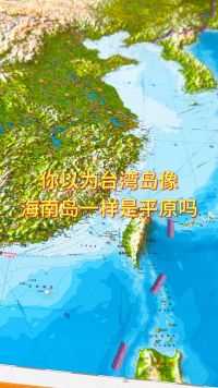 很多人以为台湾岛像海南岛一样是平原#地形图 #地理