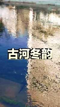 《冬景冬色》之 古河冬韵  🍂🍂  千年古河初冬景，风彩依旧美纷呈。🍂🍂  背景音乐《冬恋》
