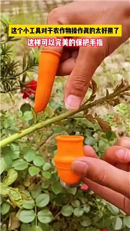 这个小工具对于农作物操作真的太好用了。这样可以完美的保护手指