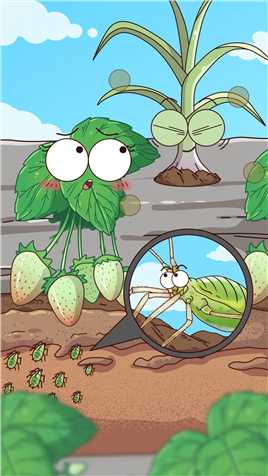 草莓大蒜一起种，蚜虫不敢往身边冲#草莓#大蒜#轻漫#万物皆可达 
