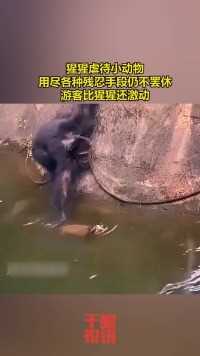 猩猩虐待小动物，用尽各种残忍手段仍不罢休，游客比猩猩还激动！