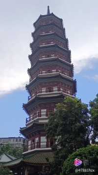 六榕寺在廣東省廣州市的六榕路，寺中有一古塔名為六榕塔。
