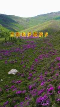 大美青海互助松多藏族乡