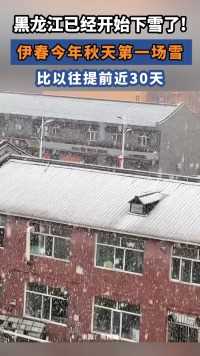 据央视网消息，9月19日中午，黑龙江伊春市迎来今秋首场降雪。