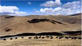 雅拉香波，海拔6636米。藏文